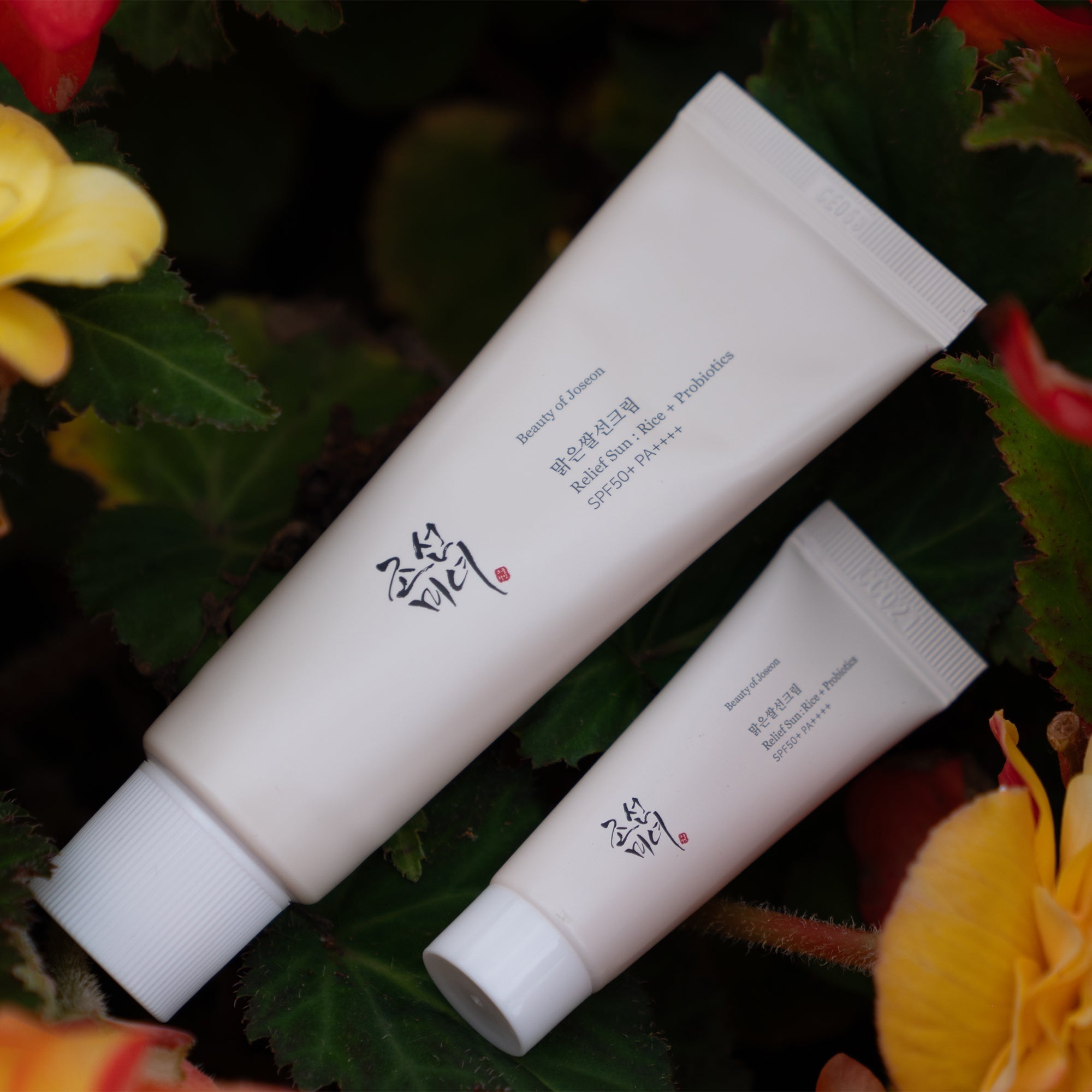 photograph of Beauty of Joseon - Relief Sun + Probiotics SPF50+ PA++++ full size and mini in a bed of orange flowers